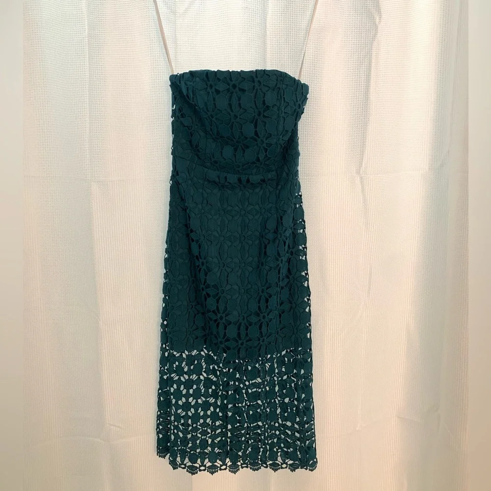 Nwot petal & pup Candice Strapless Lace Midi Dress - Picture 5 of 12
